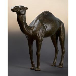 Bronzo Di Dromedario Di Gusto Coloniale - Italia Inizio XX Secolo